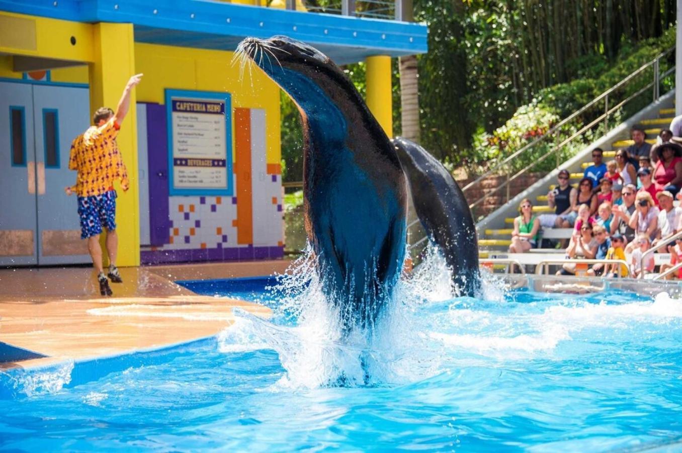 Superb House By Seaworld, Private Pool & Gameroom 圣安东尼奥 外观 照片